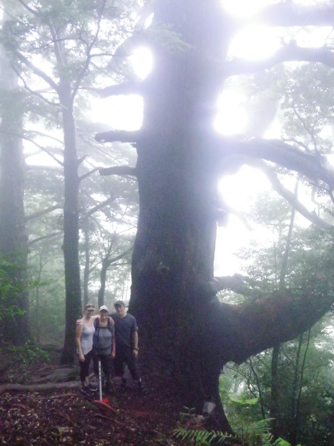 Hostel Kumano Backpackers Tanabe Exterior foto